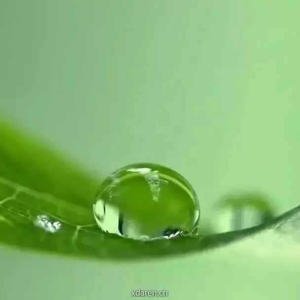 雨露汽车