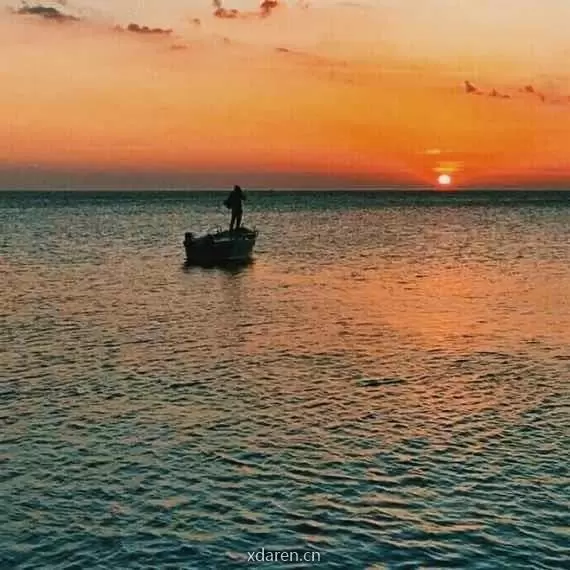 那就向阳盛开吧