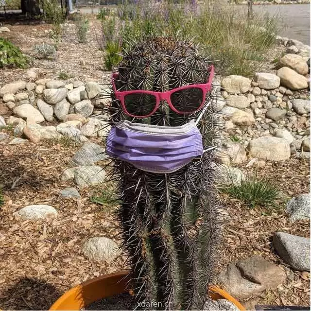 奇植记