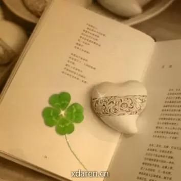 浅读慢行