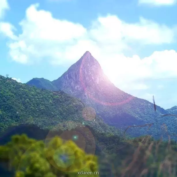 乐东旅文
