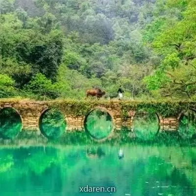 荔波宣传
