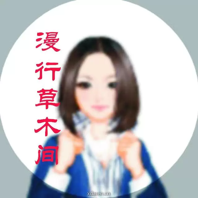 漫行草木间