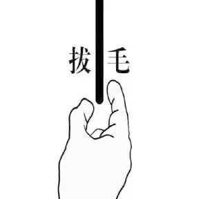 大毛的小资源