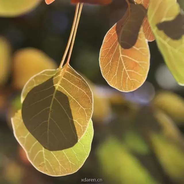 秀语千寻