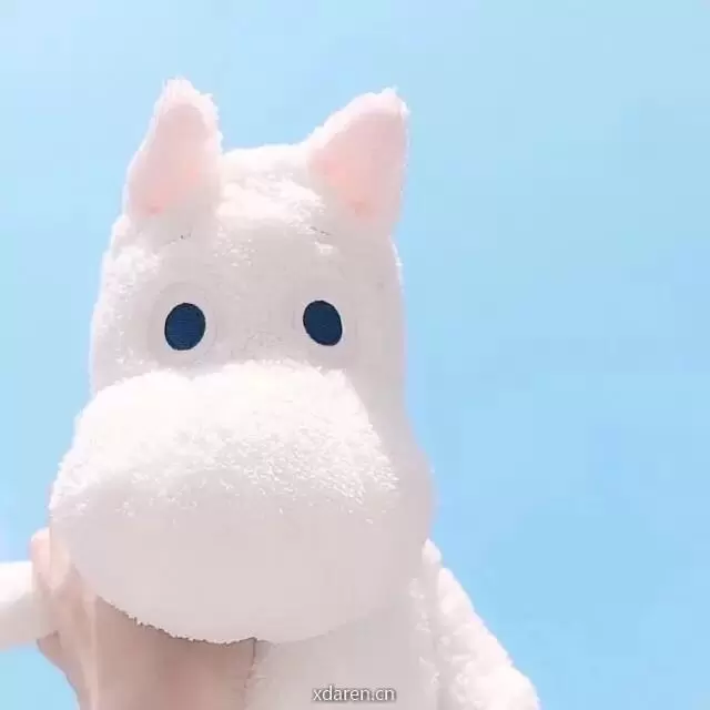念一菌