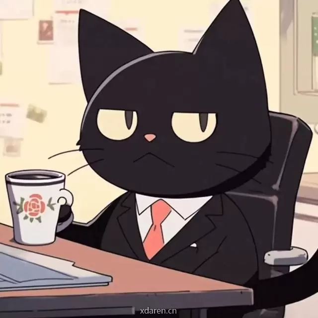 黑猫说娱乐