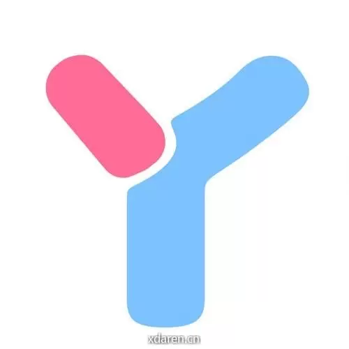 轻丫