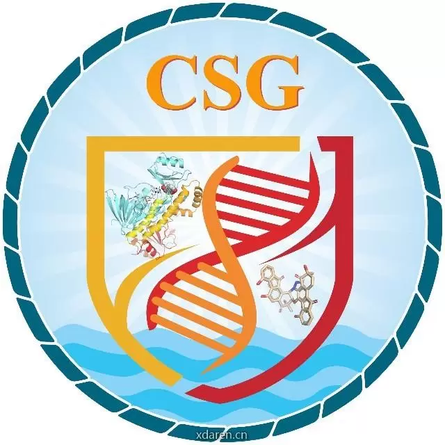 南海CSG