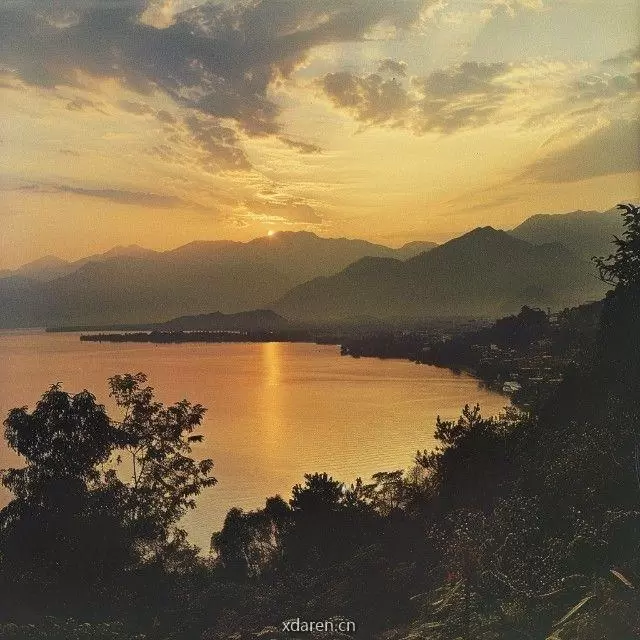 宜居城市二叔