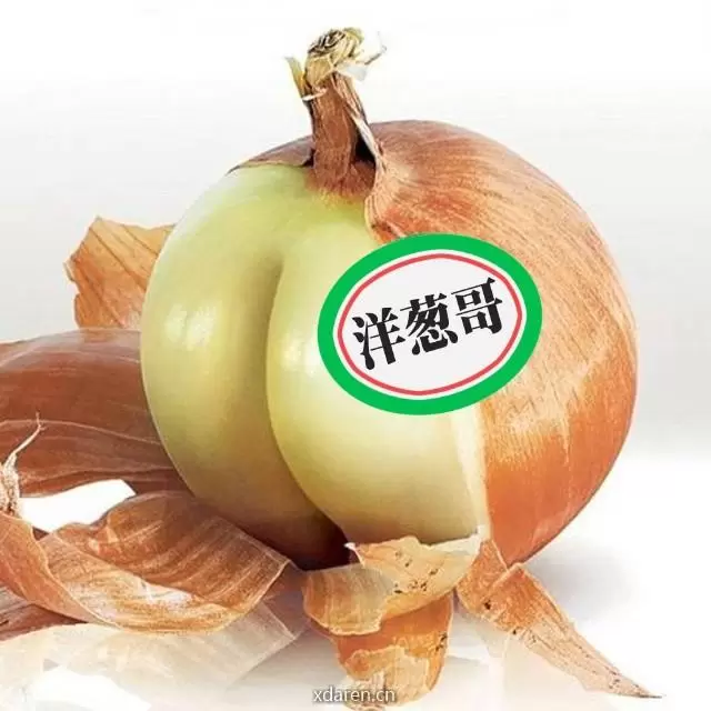 洋葱往事