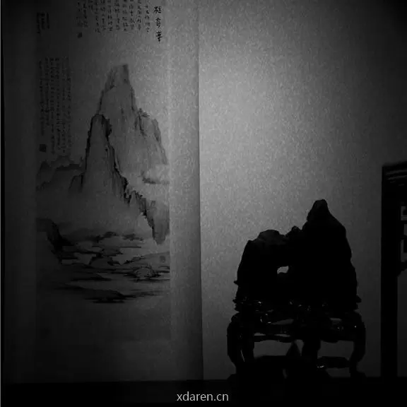 苏石协
