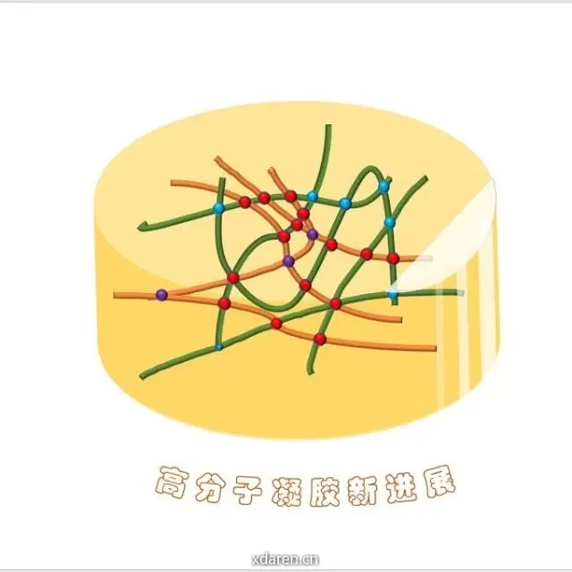 高分子凝胶新进展