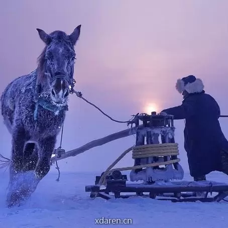 极致摄影