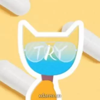 猫头鹰体验