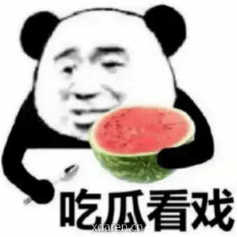 瓜瓜大队