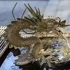 冷眼局中人