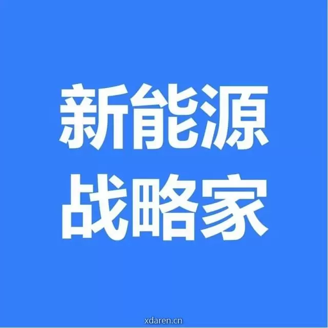 新能源战略家
