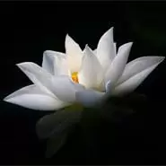 文香思媒