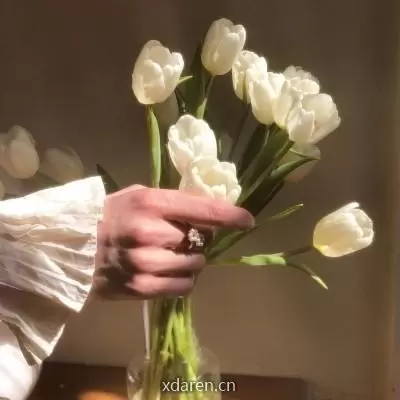 大花话娱乐