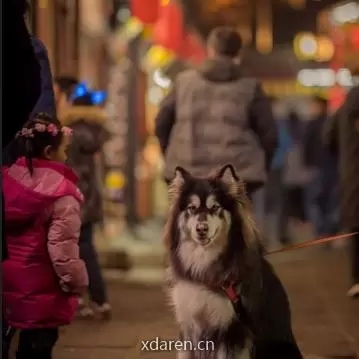爱上自驾游