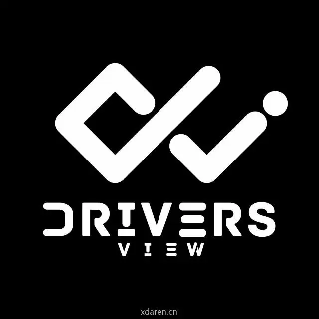 车手视觉DriversView