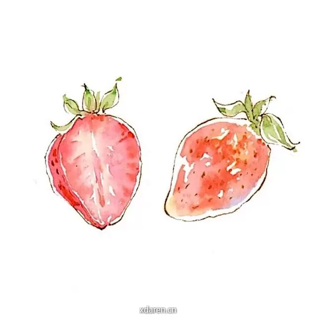 草莓酱的月光宝盒