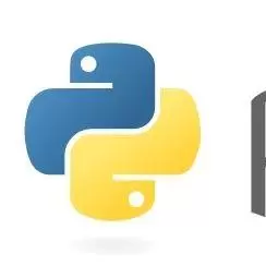 python大大