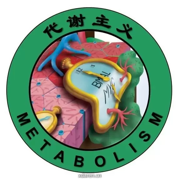 代谢主义