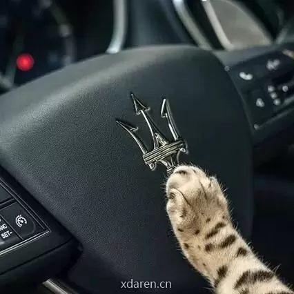 喵唠车