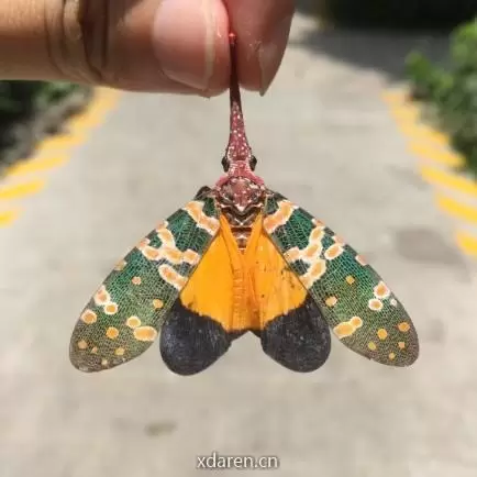 土拨鼠小卖部