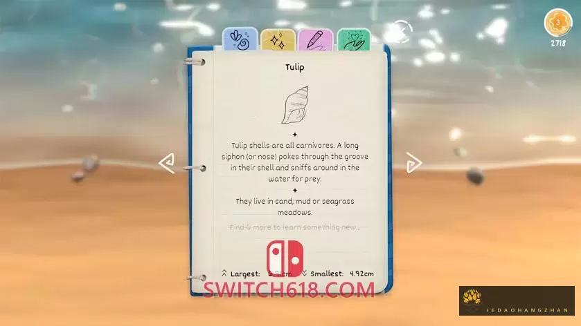 贝壳|官方中文|本体+1.0.2升补|NSP|原版|Seashell