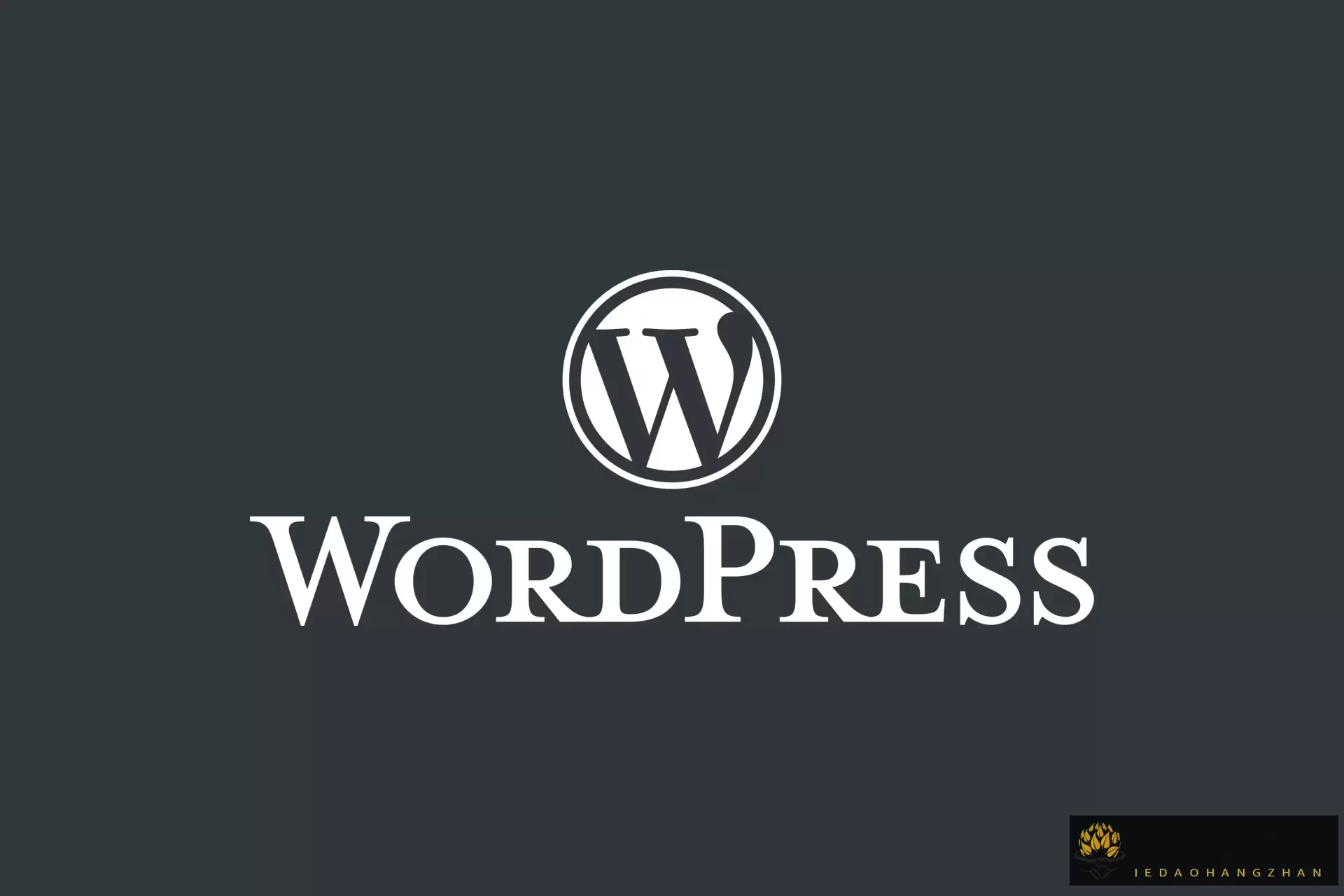 WordPress 6.6.2，全球数百万网站的首选开源CMS内容管理系统