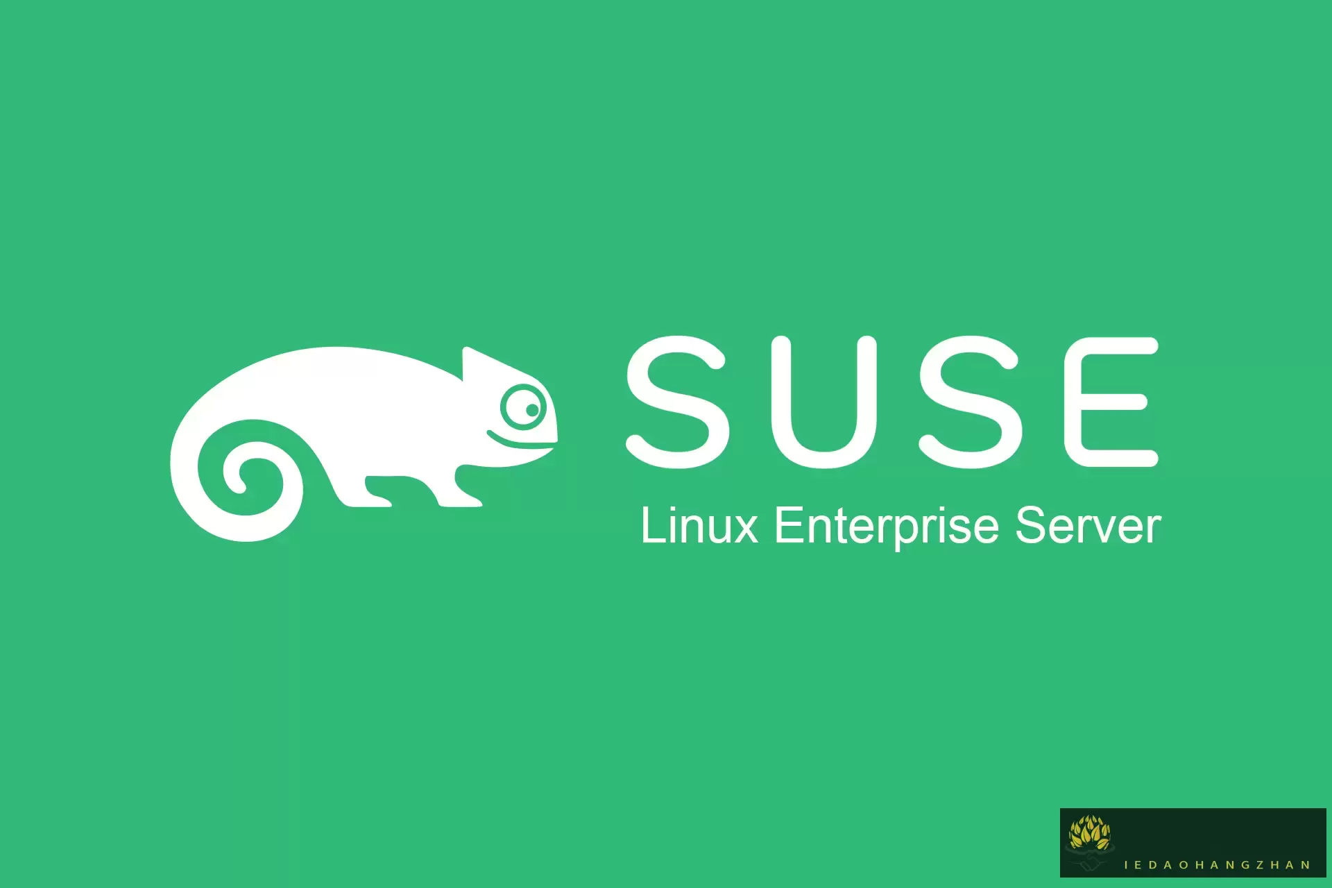SLES（SUSE Linux Enterprise Server），付费的企业级服务器操作系统