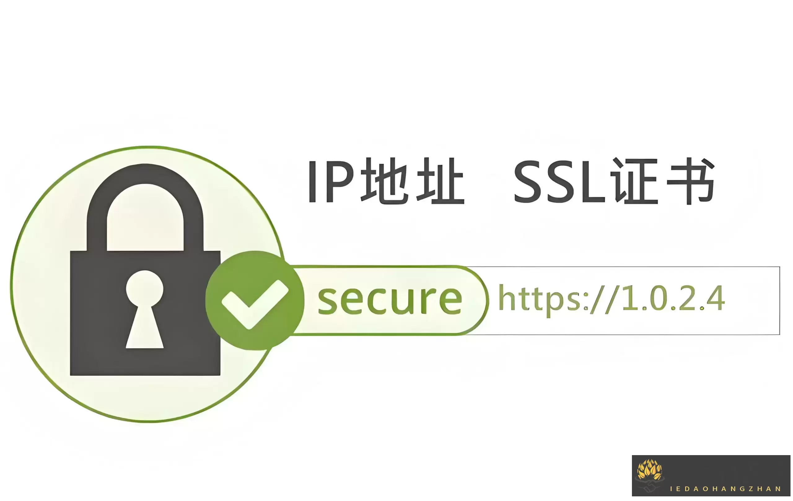 Certimate:开源免费的SSL证书管理工具