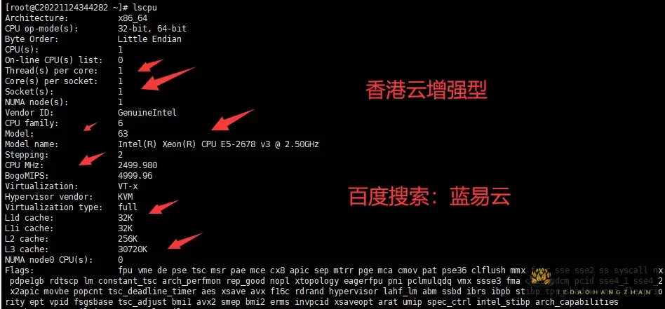 CPU信息