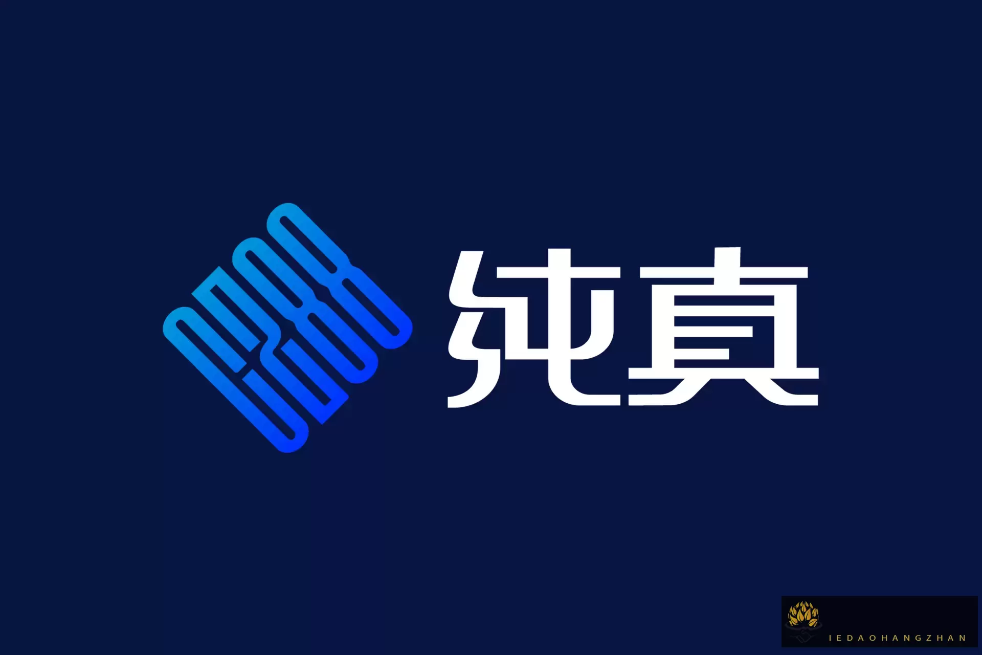 纯真 CZ88 IP 地址库