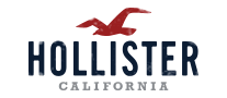 Hollister霍利斯特logo